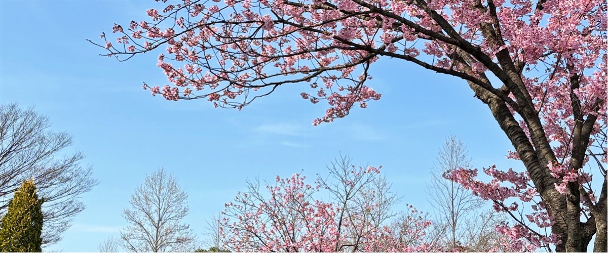 ヘッダー・イメージ