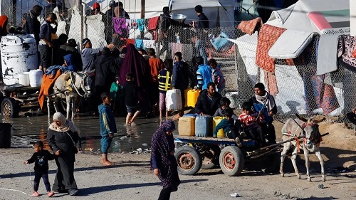 パレスチナ画像